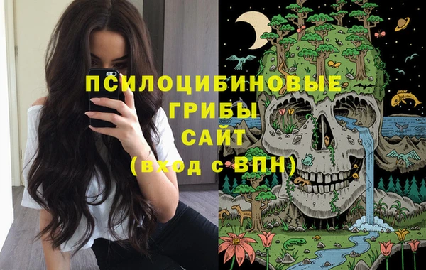 Альфа ПВП Алексеевка