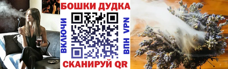даркнет сайт Бологое Марихуана OG Kush